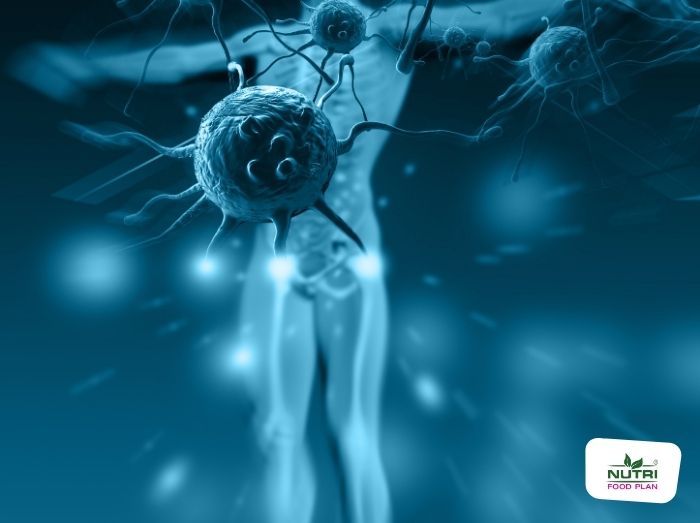 obesity-risk-blog-nutri-food-plan-4 - Zdravé potraviny na chudnutie a do jedálnička na mieru